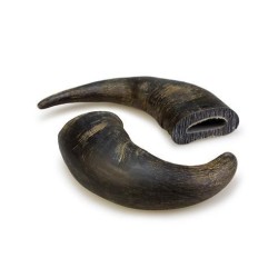 Corno de búfalo 20 cm  -...