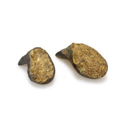 Casco de Bufalo recheado...