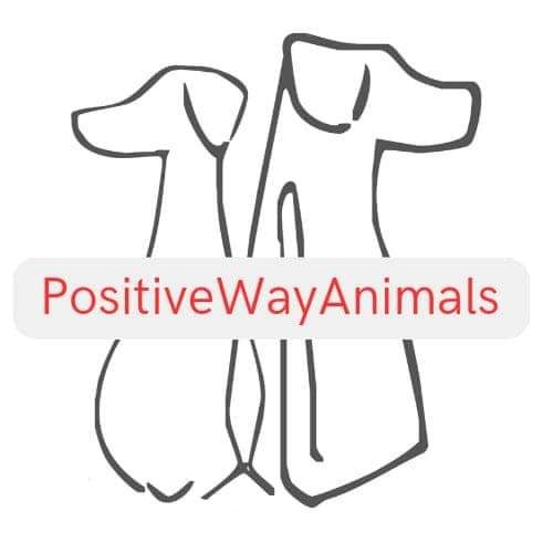 Positive Way Animals