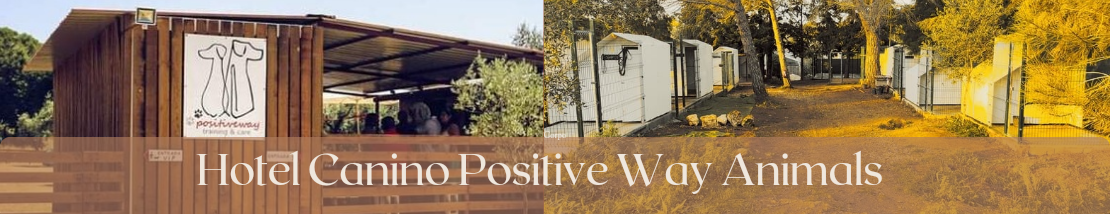 Hotel Canino da PositiveWayAnimals